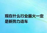 現(xiàn)在什么行業(yè)最火一定是新勢(shì)力造車