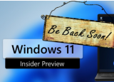 微軟確認(rèn)本周不會推出Windows11版本