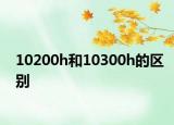 10200h和10300h的區(qū)別