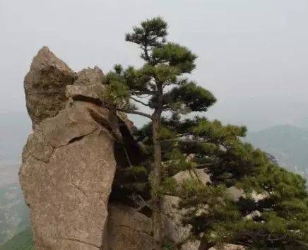 玩遍大連丨不負好春光，普蘭店游玩線路最新出爐！逐一打卡去~