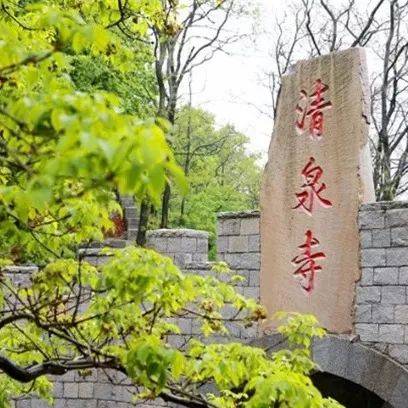 玩遍大連丨不負好春光，普蘭店游玩線路最新出爐！逐一打卡去~