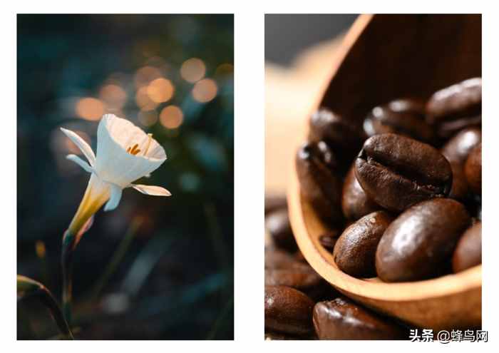 更高畫質(zhì)的微距體驗(yàn) 尼康Z50mm、105mm微距開發(fā)者訪談