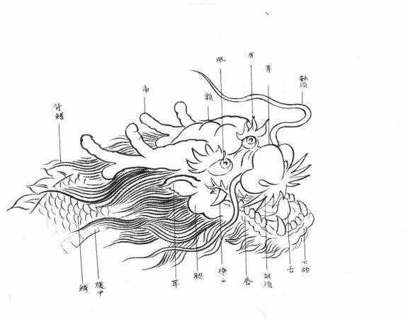 白描龍譜的畫法素材，搞創(chuàng)作，設(shè)計(jì)都用的到