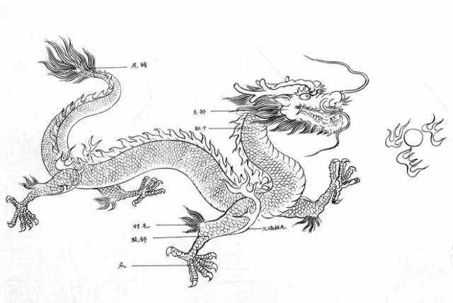 白描龍譜的畫法素材，搞創(chuàng)作，設(shè)計(jì)都用的到