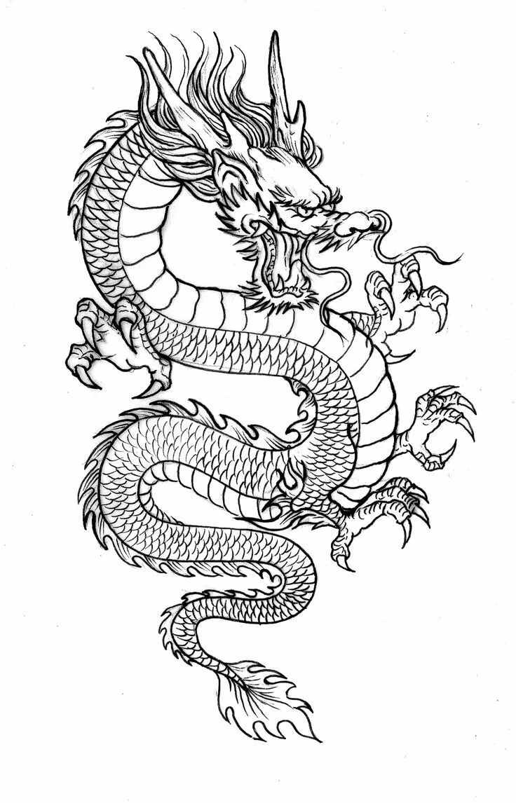白描龍譜的畫法素材，搞創(chuàng)作，設(shè)計(jì)都用的到