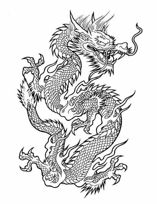 白描龍譜的畫法素材，搞創(chuàng)作，設(shè)計(jì)都用的到