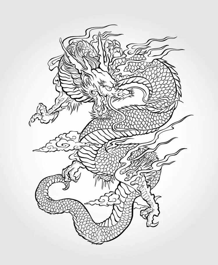 白描龍譜的畫法素材，搞創(chuàng)作，設(shè)計(jì)都用的到
