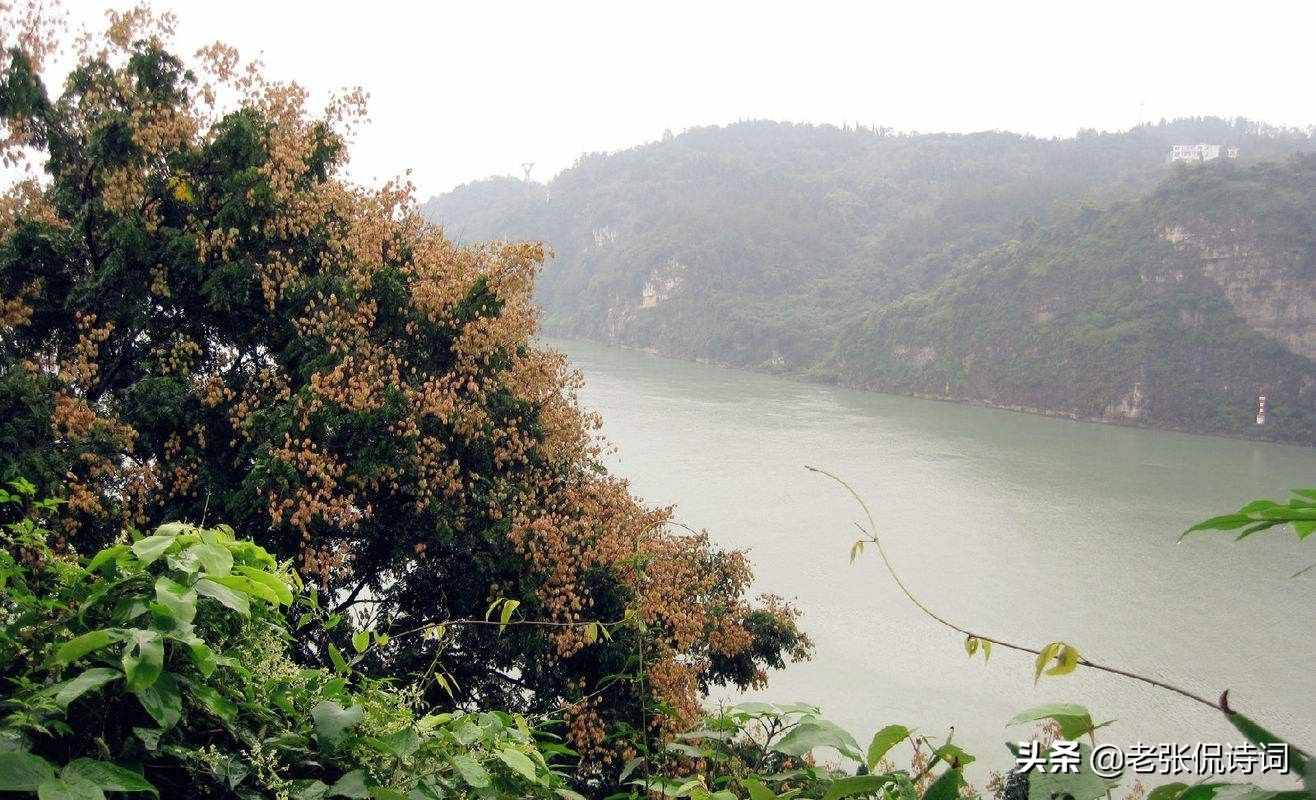 我們都會背經典唐詩，“渚清沙白鳥飛回”，“渚清沙白”啥意思