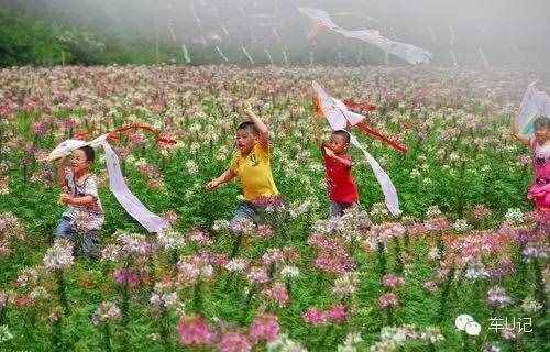 從化響水峽，艷遇浪漫茹根花海