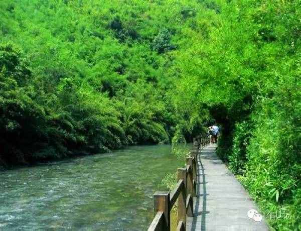 從化響水峽，艷遇浪漫茹根花海