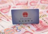 今日更新社保怎么查（繳納了社保）