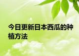 今日更新日本西瓜的種植方法