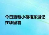 今日更新小葛格東游記在哪里看