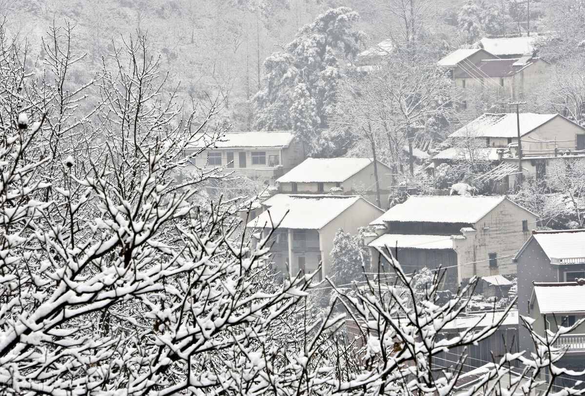正值臘月，農(nóng)村俗語“臘月雪打雷，正月黃土堆”，說的啥意思呢？