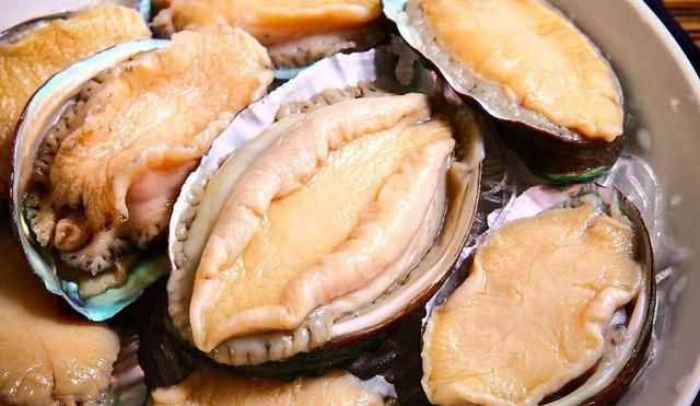 新鮮鮑魚5種最好吃的做法，簡單美味又下飯，看看你喜歡吃不？