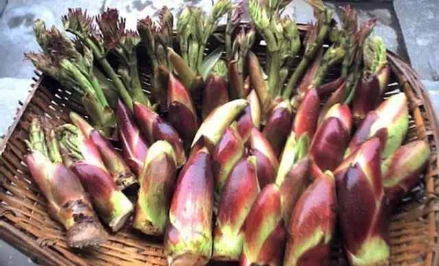 農(nóng)村常吃的40種 · 野菜，你吃過(guò)幾種呢？