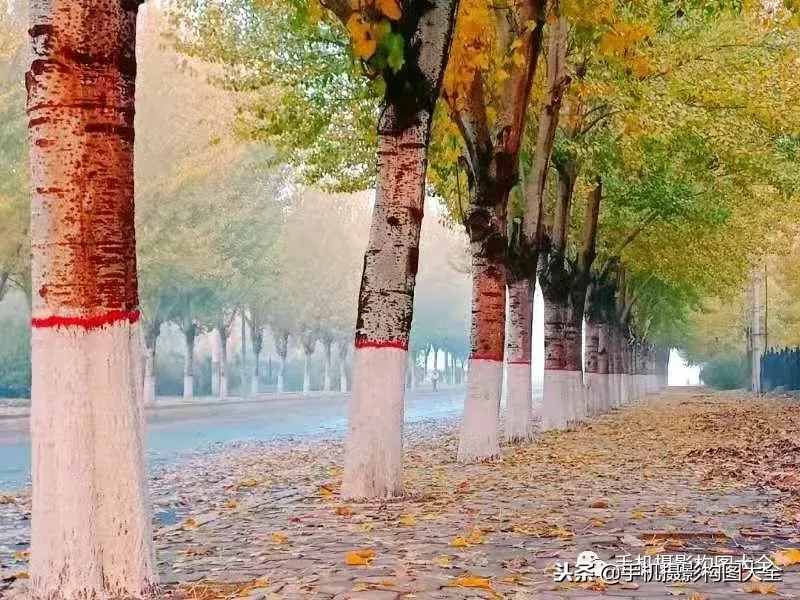 攝影賞析：看完這9幅作品，你也可以拍出這樣美的好片！