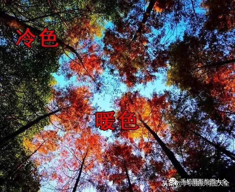 攝影賞析：看完這9幅作品，你也可以拍出這樣美的好片！