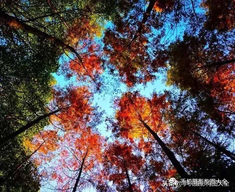 攝影賞析：看完這9幅作品，你也可以拍出這樣美的好片！