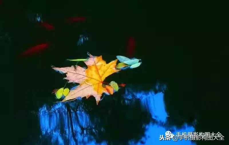 攝影賞析：看完這9幅作品，你也可以拍出這樣美的好片！