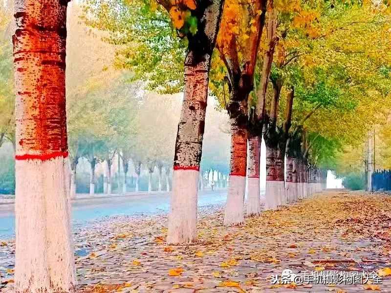 攝影賞析：看完這9幅作品，你也可以拍出這樣美的好片！