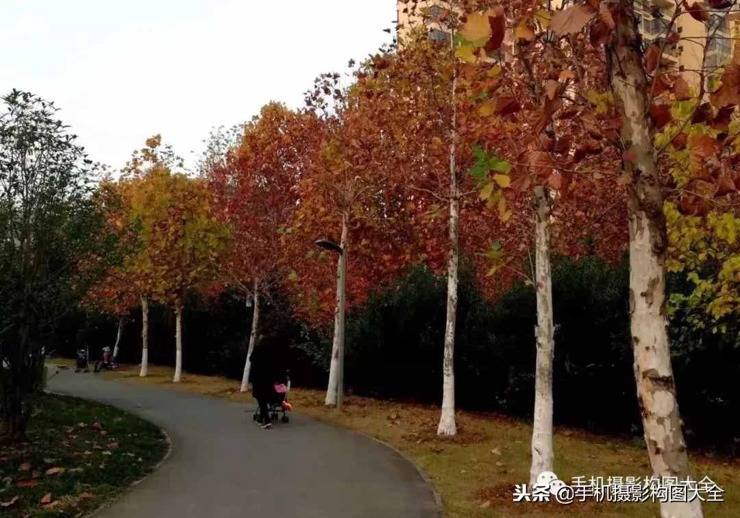 攝影賞析：看完這9幅作品，你也可以拍出這樣美的好片！