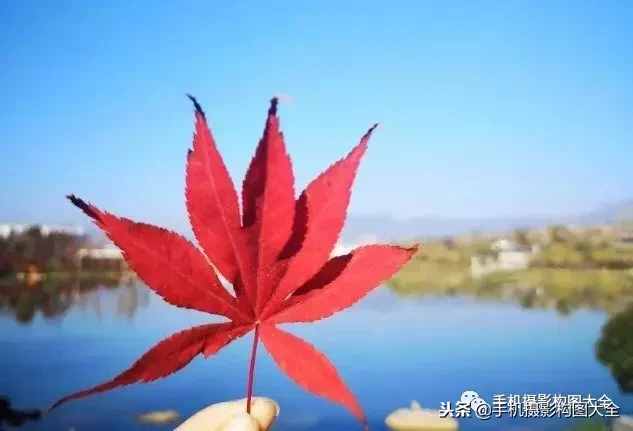 攝影賞析：看完這9幅作品，你也可以拍出這樣美的好片！