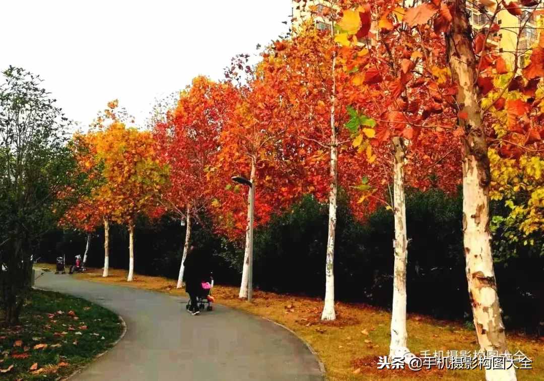 攝影賞析：看完這9幅作品，你也可以拍出這樣美的好片！