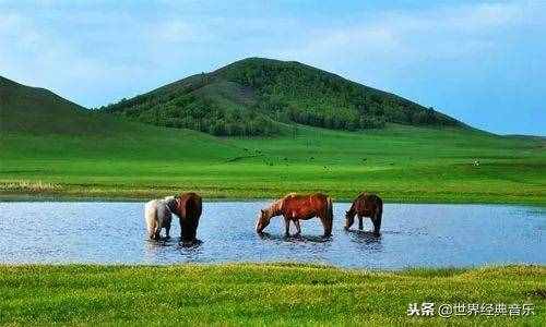 56首草原歌曲，太好聽了，不多說，先收藏了！