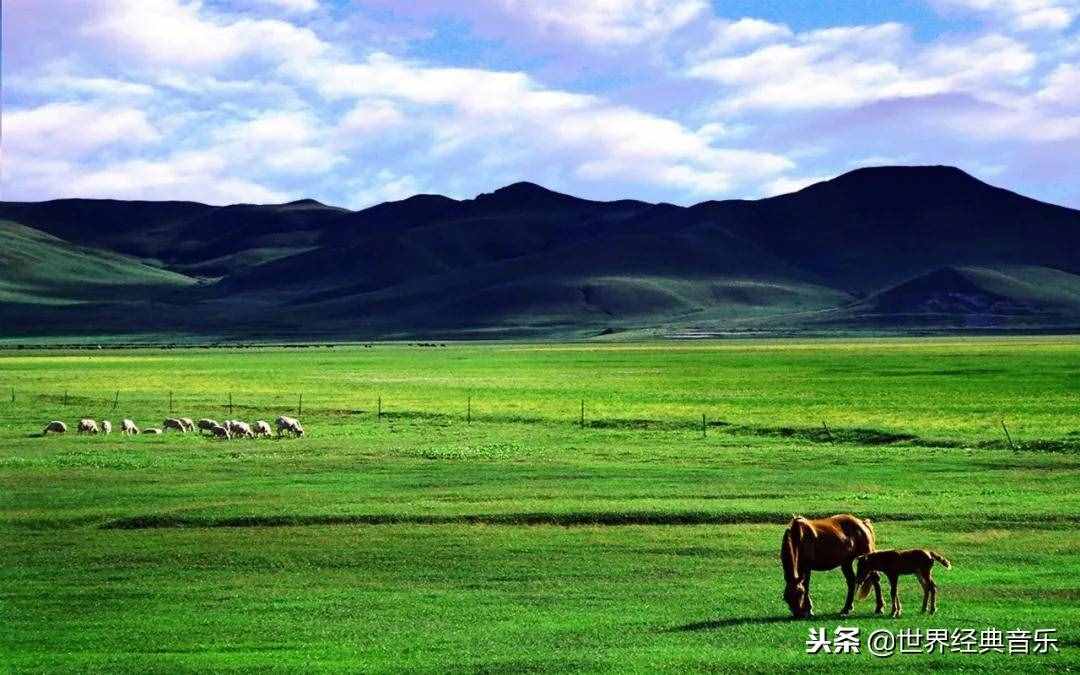 56首草原歌曲，太好聽了，不多說，先收藏了！