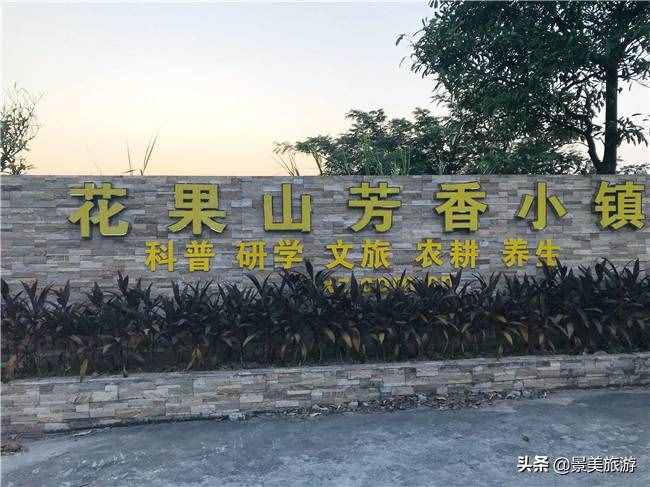 廣東花都美林湖花果山景區(qū)國慶前開放，漫山花海成普羅旺斯