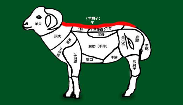 羊蝎子到底是什么，為啥叫羊蝎子，味道好吃嗎？漲知識(shí)了