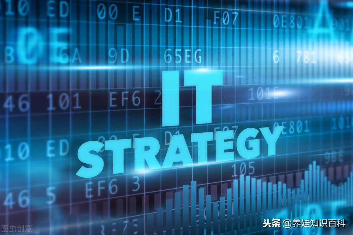 it行業(yè)有哪些專業(yè)？教育部總結(jié)：it專業(yè)分兩大類型，共計9種