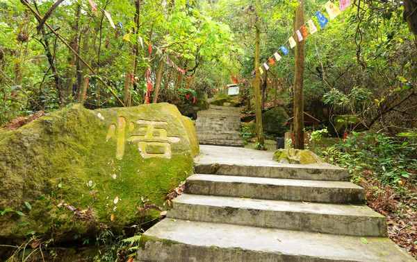 中山市逍遙谷里并不逍遙，誰去誰知道