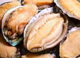 今日更新鮑魚怎么做最簡便最好吃呢（新鮮鮑魚5種最好吃的做法）
