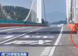 今日更新水馬（水馬是什么）