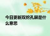 今日更新雙挖孔屏是什么意思