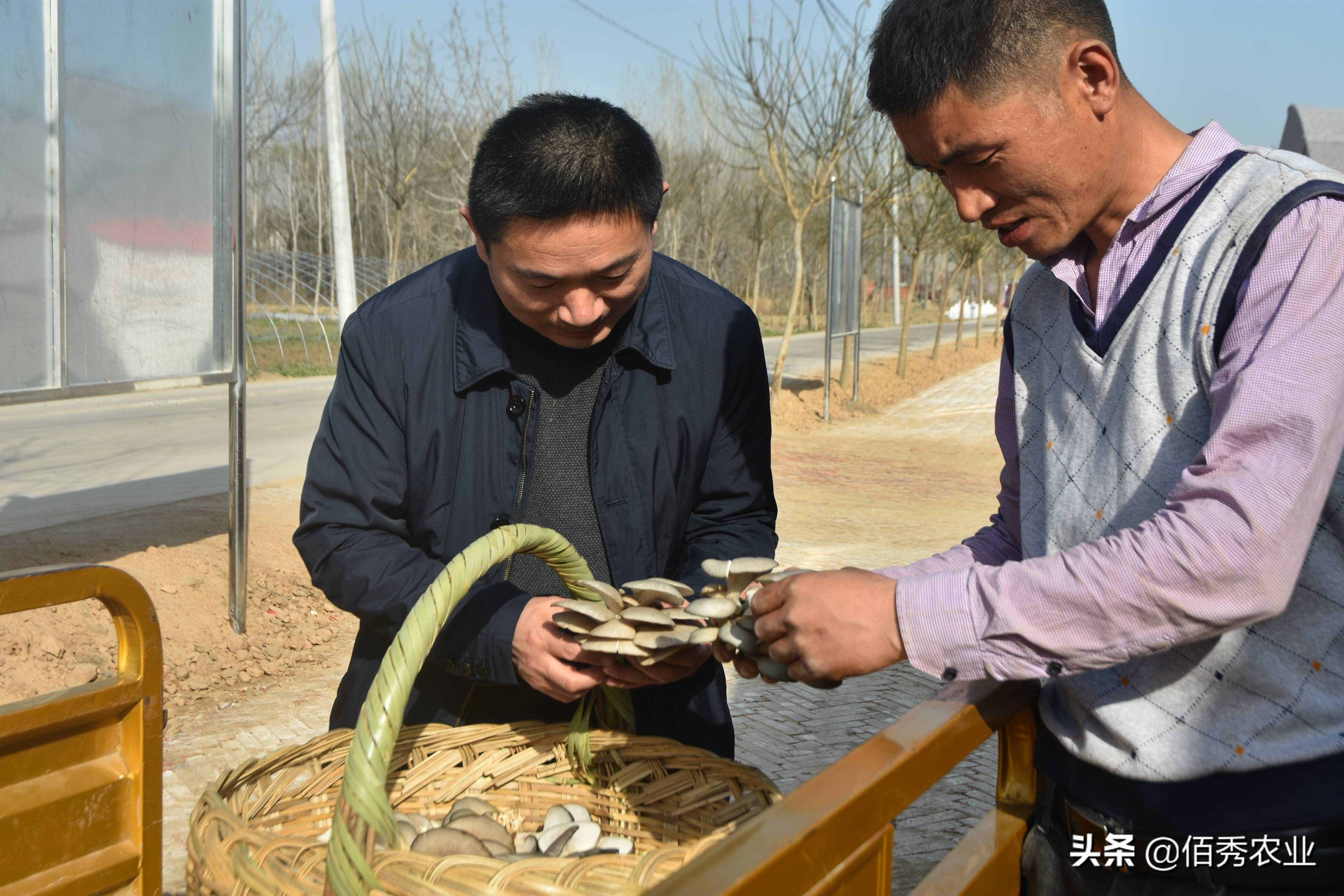 打工苦種田累，在農(nóng)村有沒(méi)有看似不起眼，但利潤(rùn)很高的小生意？