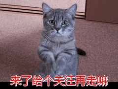 道術(shù)合一，周易預(yù)測學(xué)基礎(chǔ)入門方法