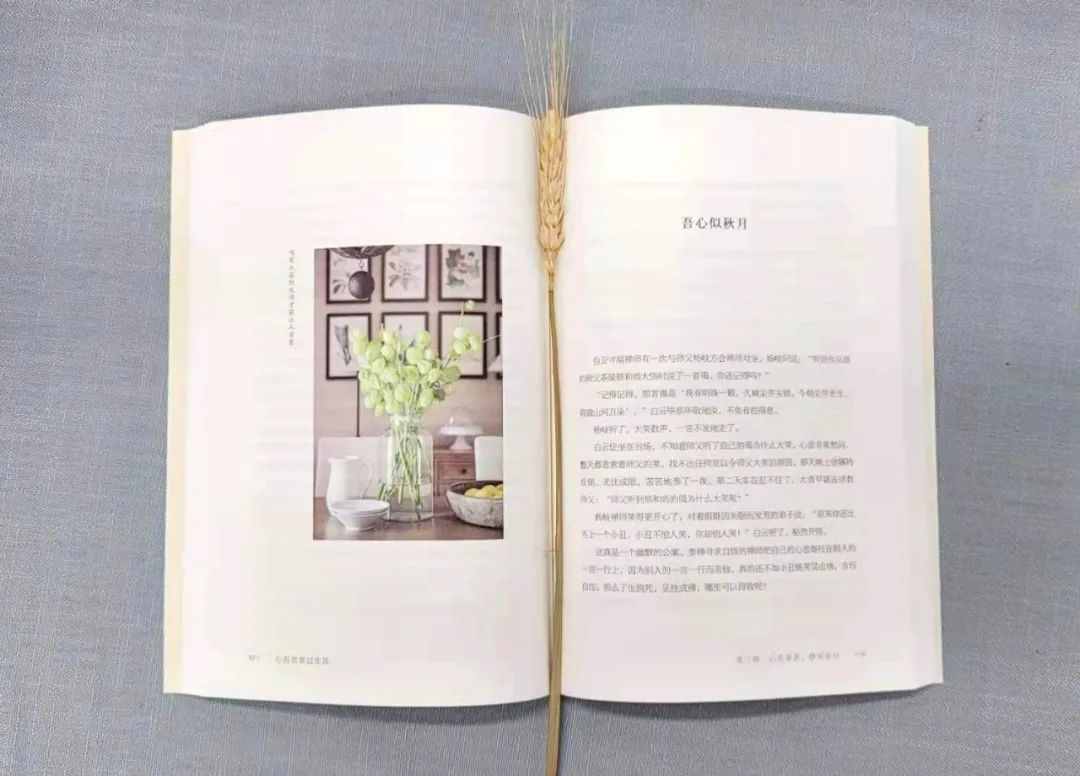 林清玄：心情不好的時候，試試這四個方法