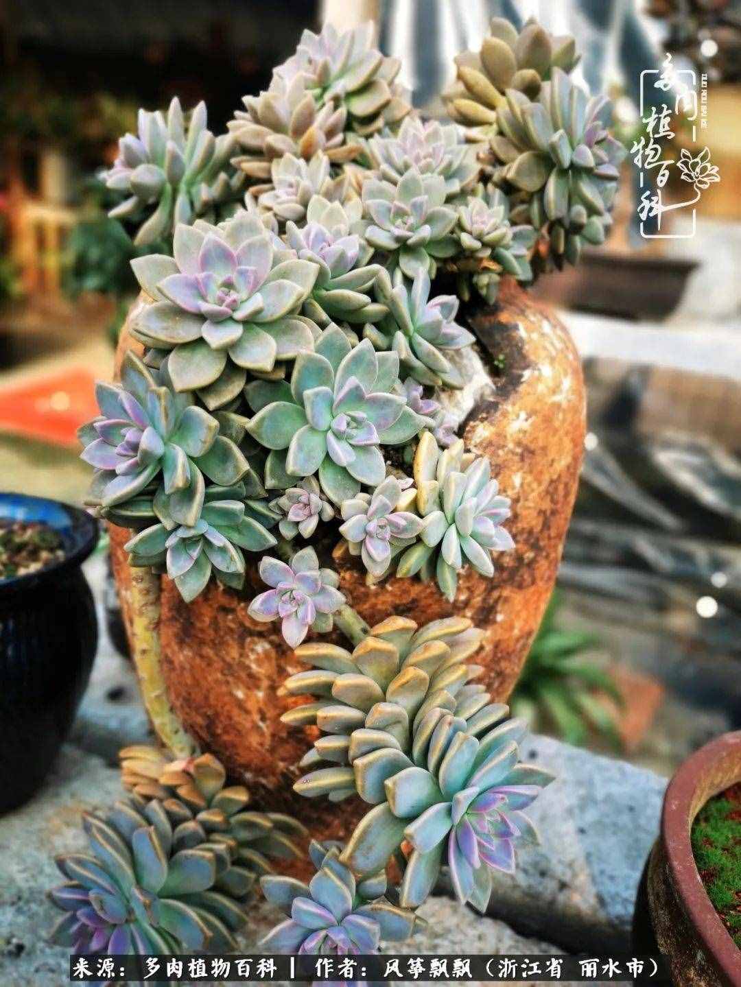 緣淺緣深，去留隨意，時(shí)間撲面而來，我們終將釋懷