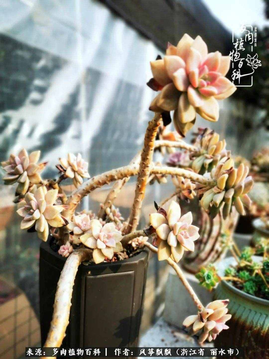 緣淺緣深，去留隨意，時(shí)間撲面而來，我們終將釋懷
