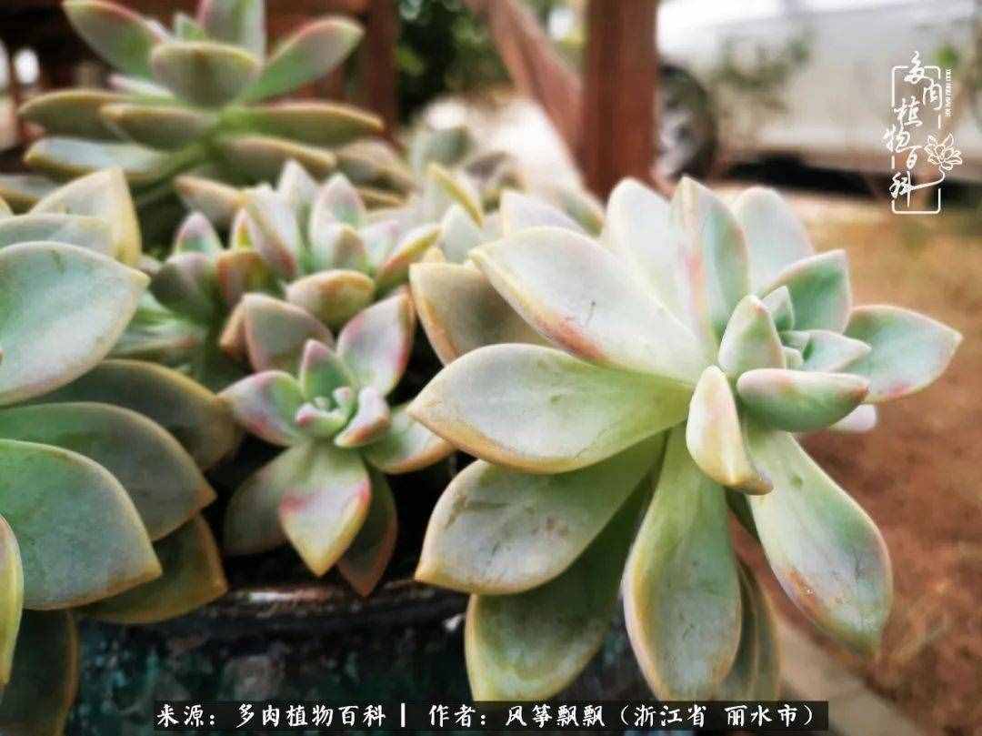緣淺緣深，去留隨意，時(shí)間撲面而來，我們終將釋懷