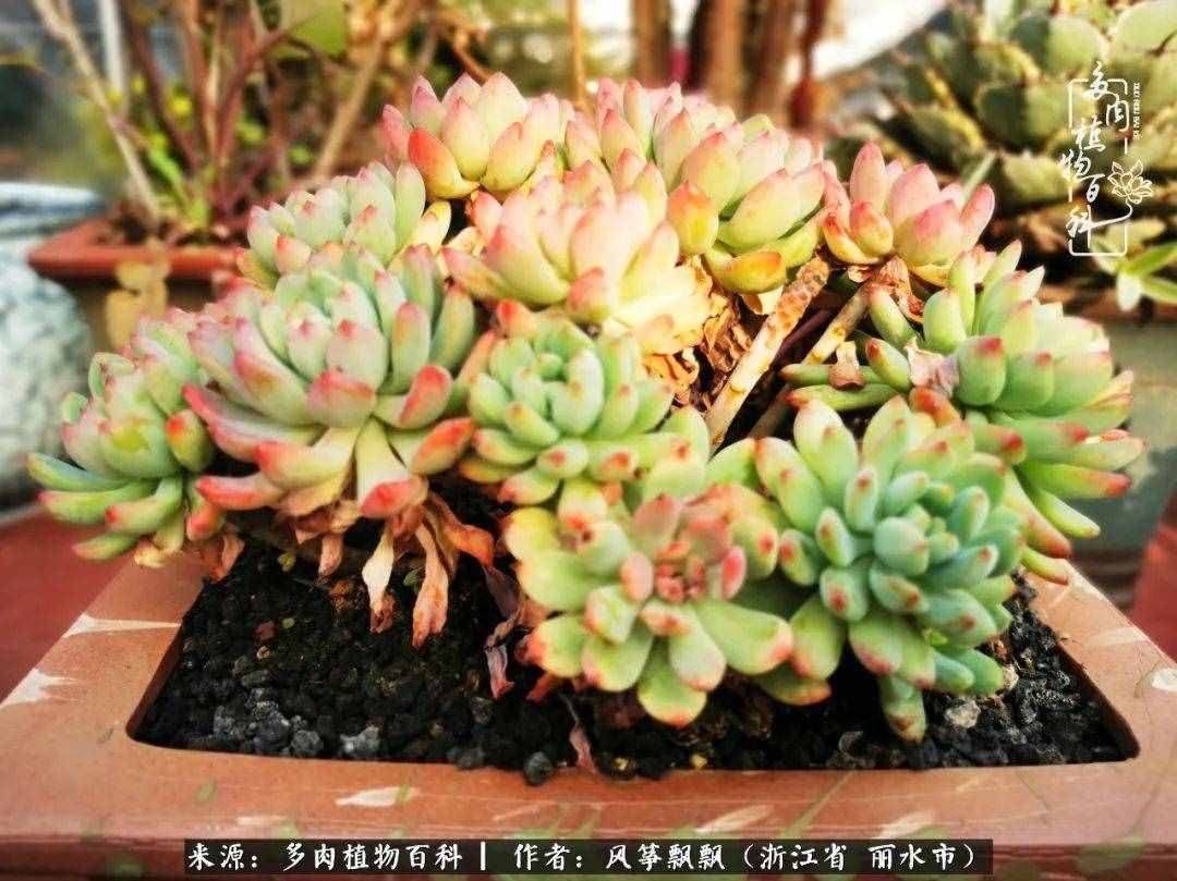 緣淺緣深，去留隨意，時(shí)間撲面而來，我們終將釋懷