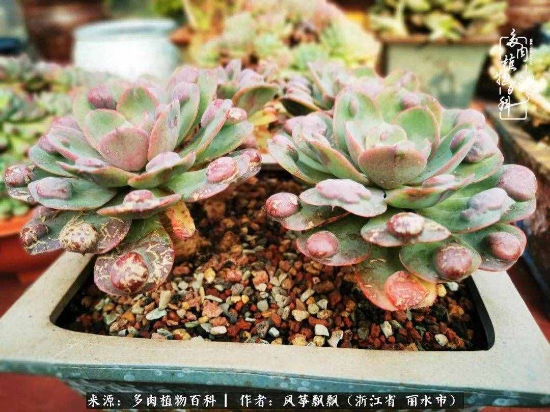 緣淺緣深，去留隨意，時(shí)間撲面而來，我們終將釋懷