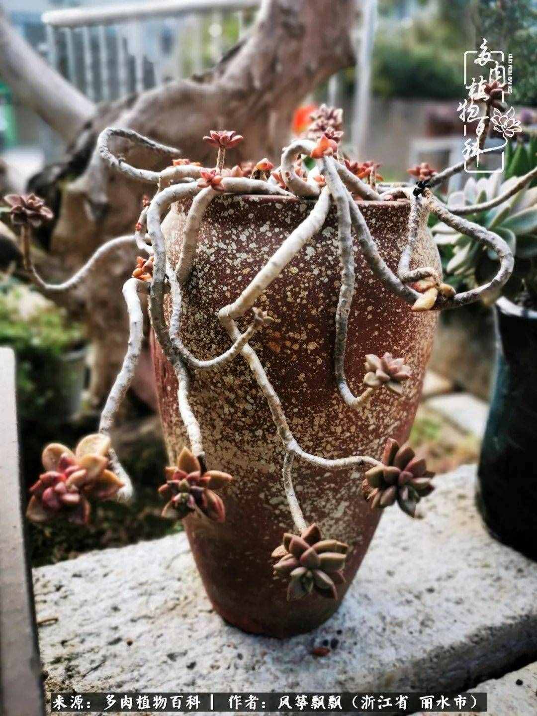 緣淺緣深，去留隨意，時(shí)間撲面而來，我們終將釋懷