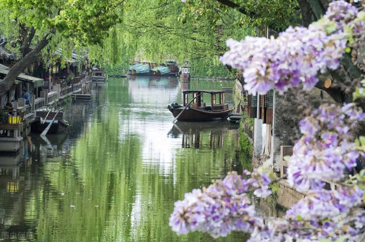 在歲月的年輪里，褪去繁華，留得淡然