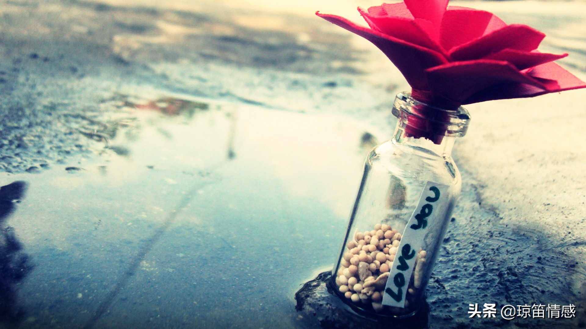 徐志摩：我將在茫茫人海中尋找唯一靈魂伴侶，得之我幸，失之我命