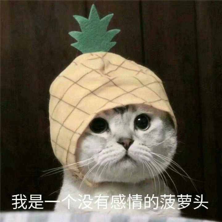 這些梗你知道多少？