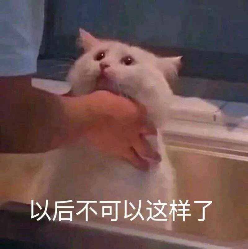 這些梗你知道多少？